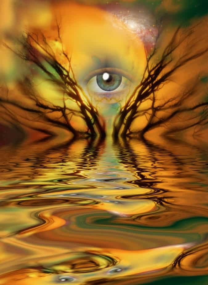 Auge schaut durch herbstliche Farben