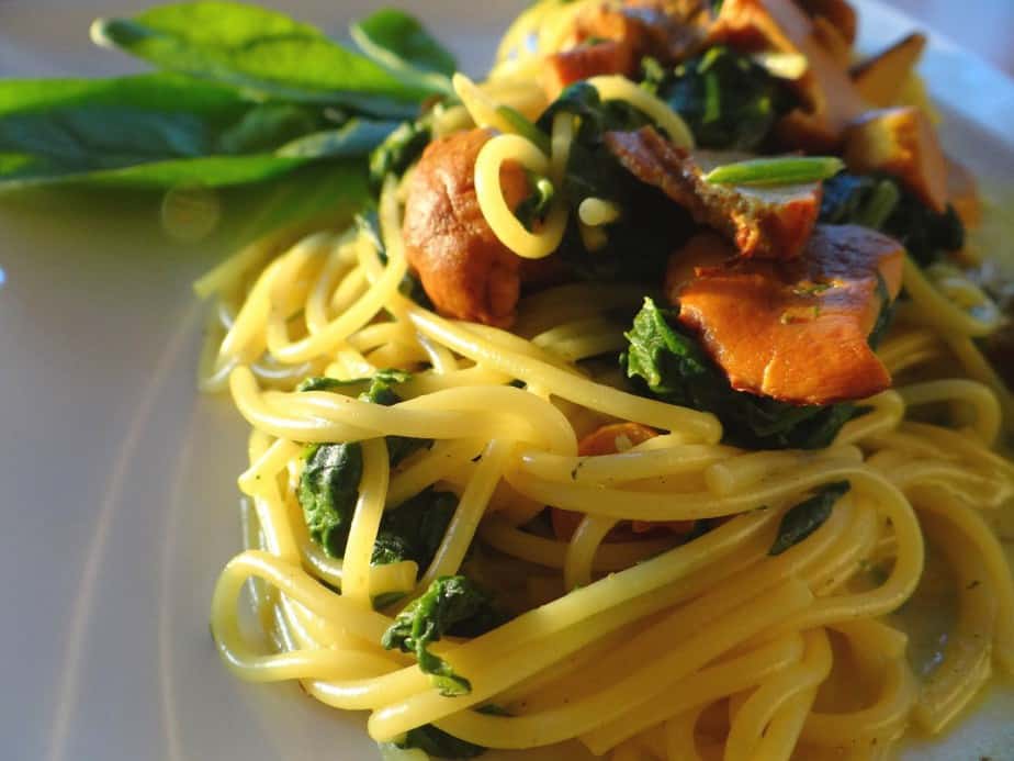 besserwisserische Ernährungsfeld, Ernährungskonzepte, gesunde Speisen und Rezepte, Nährstoff, Nährstoffe, Foto & Rezept: Kristina Hazler