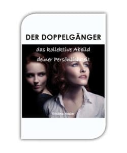 Buchcover "Der Doppelgänger