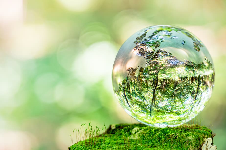 Glaskugel spiegelt grünen Wald