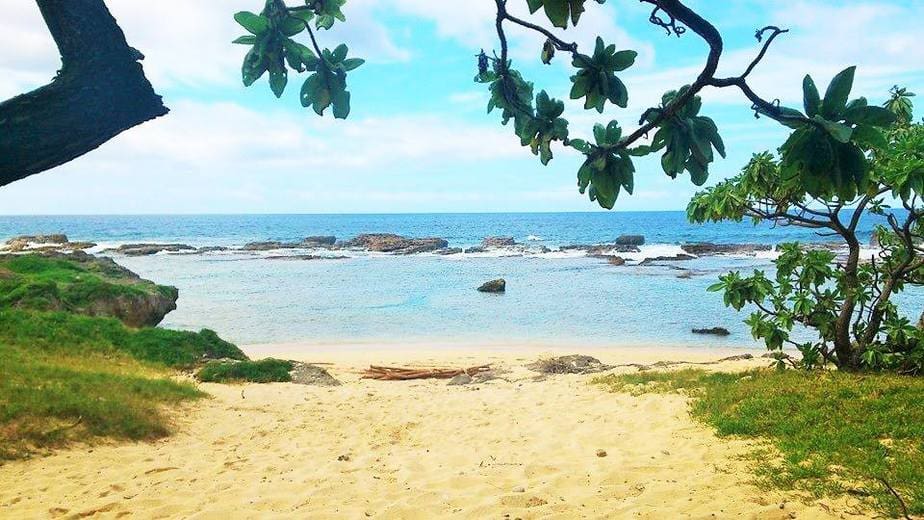 Am Strand von Irgendwann - Zeichen und Botschaften, Tags: Geschichten die das Leben schreibt, Meister des Lebens, Meisterschaft, österreichische Meisterschaft, Strand, Farm, Zeichen, Botschaften, Wwoofer, Lichtnahrung, Spiegelbild, wer bin ich, Engelheilung, Kraft, Vertrauen, Tonga, Reisen, Heilung, Selbsterfahrung