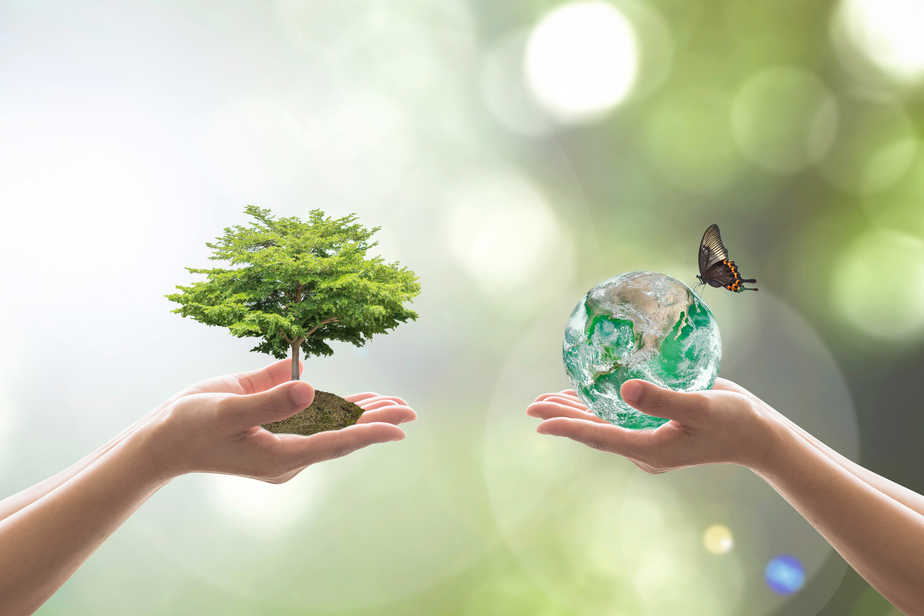 Baum in Hand, Erde mit Schmetterling