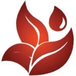 Kontakt | Kristina Hazler