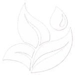 Logo: Blätter und Tropfen, Natur-Symbol