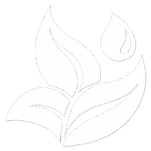 NEUES BEWUSSTSEIN mit Kristina Hazler