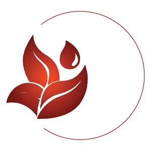 Logo Nové Vedomie od Kristina Hazler